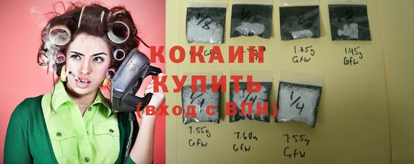 стаф Краснослободск
