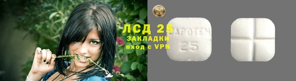 шишки Краснотурьинск