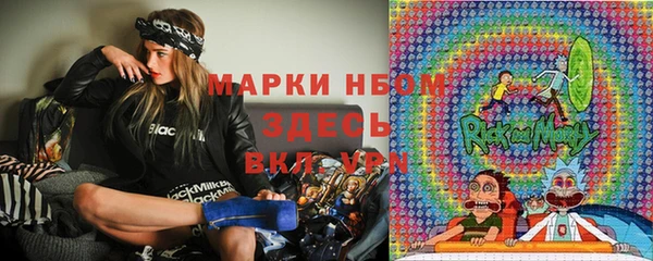 шишки Краснотурьинск