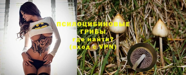 шишки Краснотурьинск