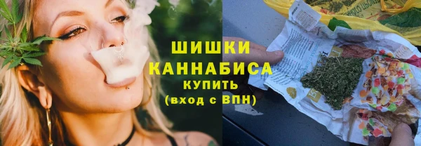 стаф Краснослободск