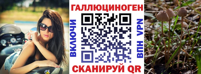 блэк спрут как зайти  наркота  Ликино-Дулёво  Галлюциногенные грибы Psilocybe 